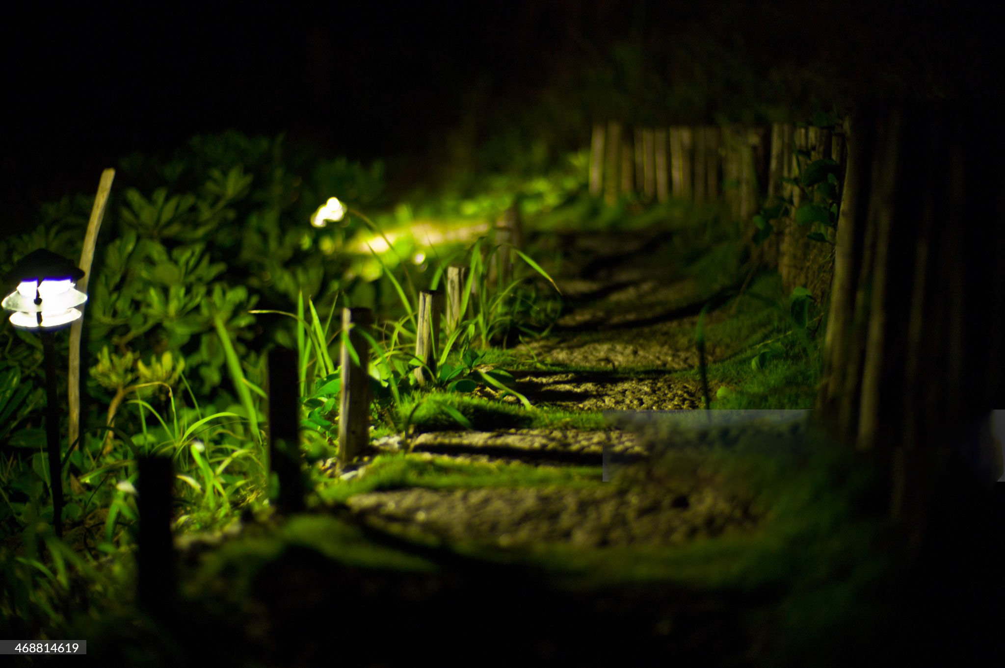 Landscape Lighting